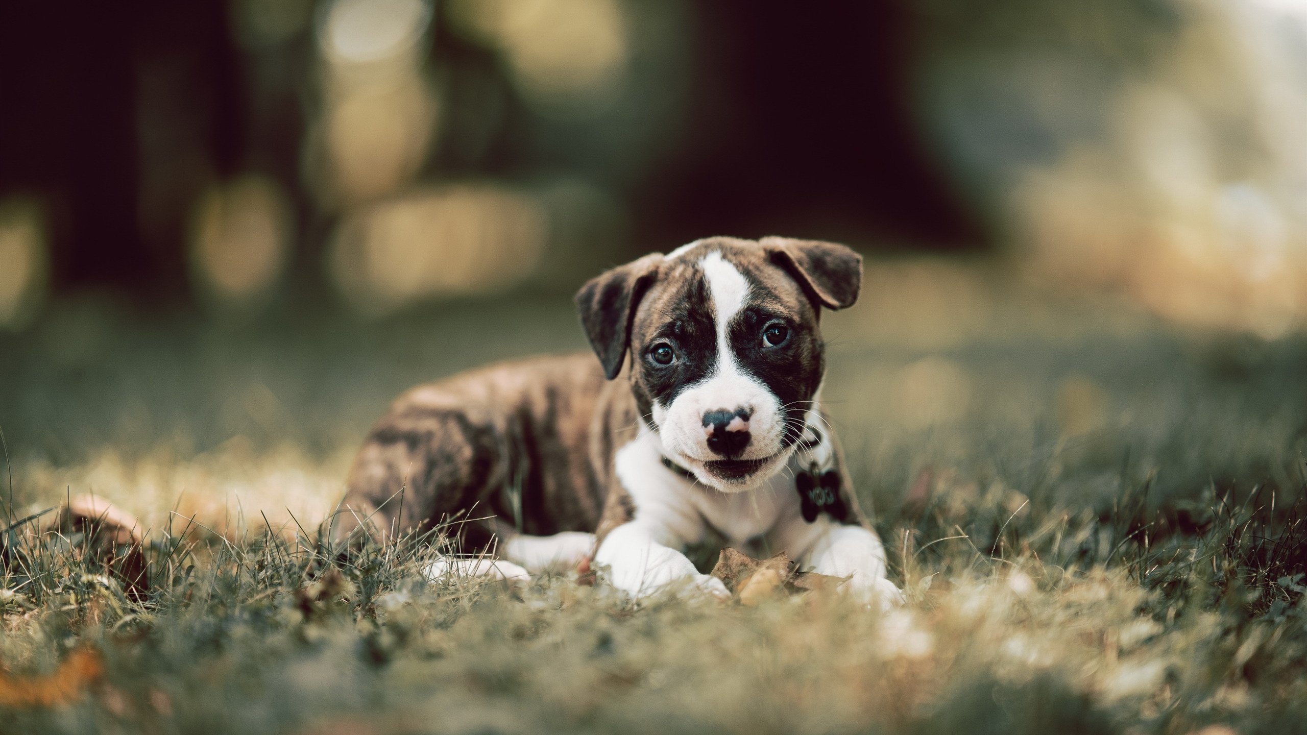 _未来都市:高科技智能场馆带来的比赛新体验_,智能科技展厅设计方案