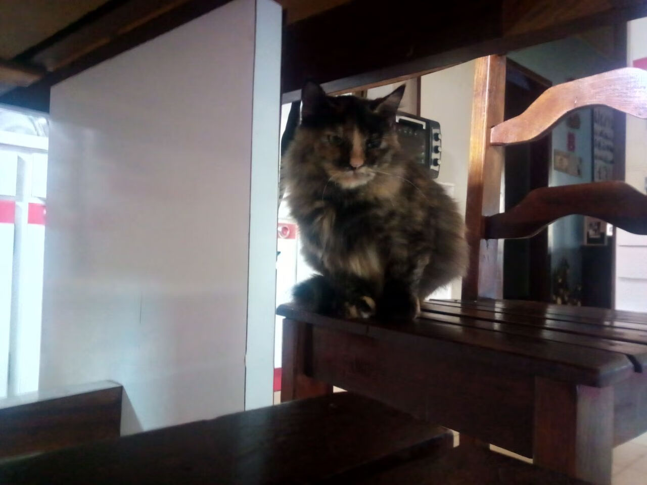 爱游戏体育-_魅力街头：城中最热网球PK赛引爆市民热情_，网球氛围比较好的城市