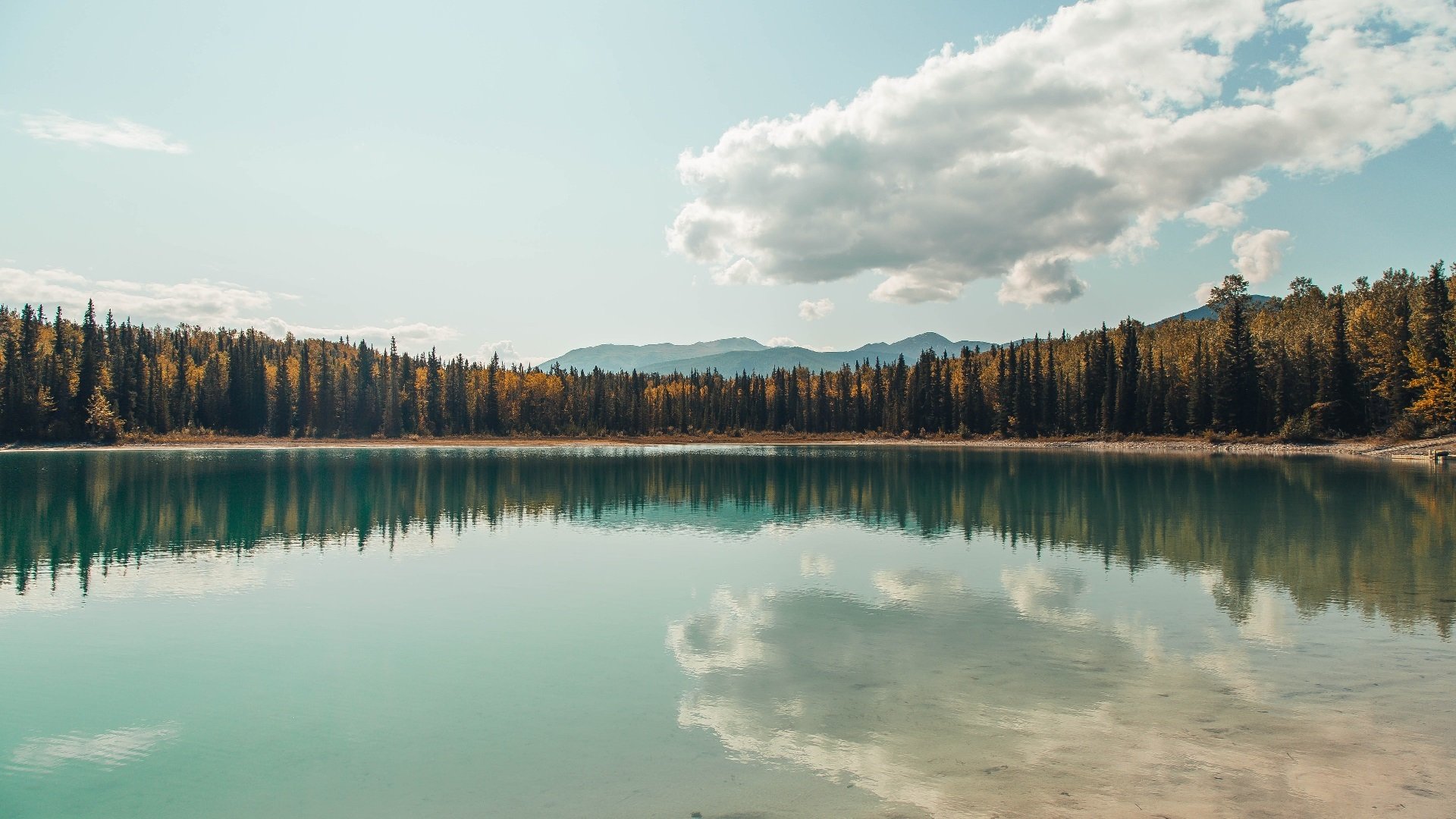 AYX官网-《Dota 2超级邀请赛，偶像战队强势出击》，dota2超话