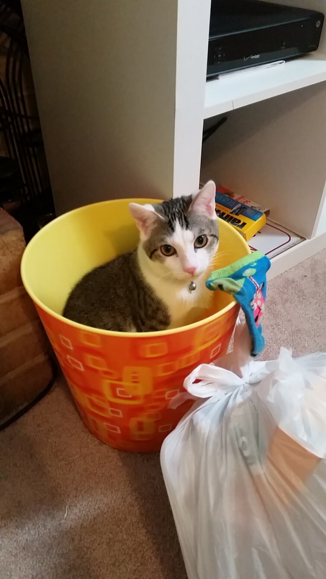 爱游戏电竞官网-陕西省举行“篮球小巨人”少年杯，发现新一代天才，2021陕西省校园篮球赛