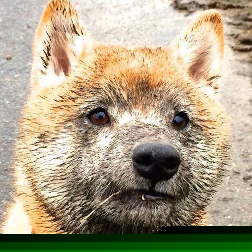 爱游戏下载-青训“软硬结合”打造高品质训练体系，行业迈向新台阶，青训 高质量的训练 什么意思