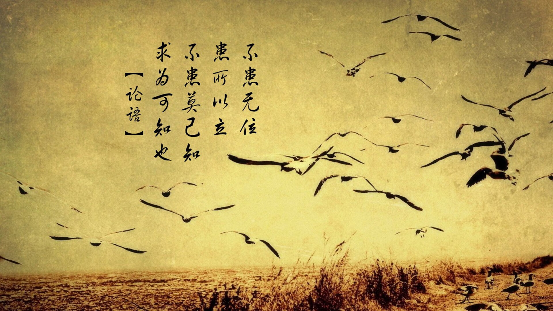 爱游戏在线登录入口-意大利后防线成最大看点，谁能捍卫门前？，意大利后防新星