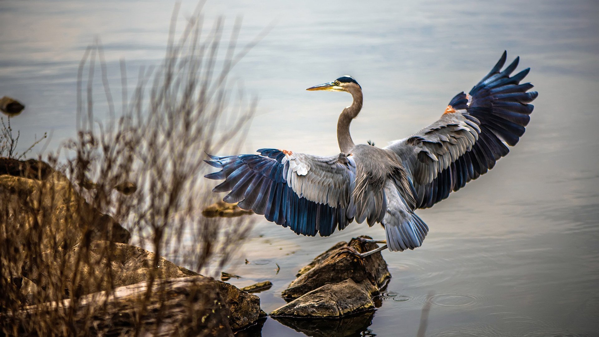 AYX体育官网-足球比赛中哪支球队处于领先地位？，足球哪个比赛最重要