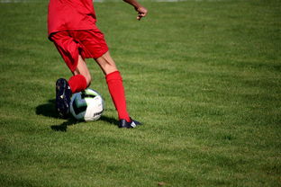 AYX SPORTS-中国篮球俱乐部青训体系绩效评估方法，篮球俱乐部青训营