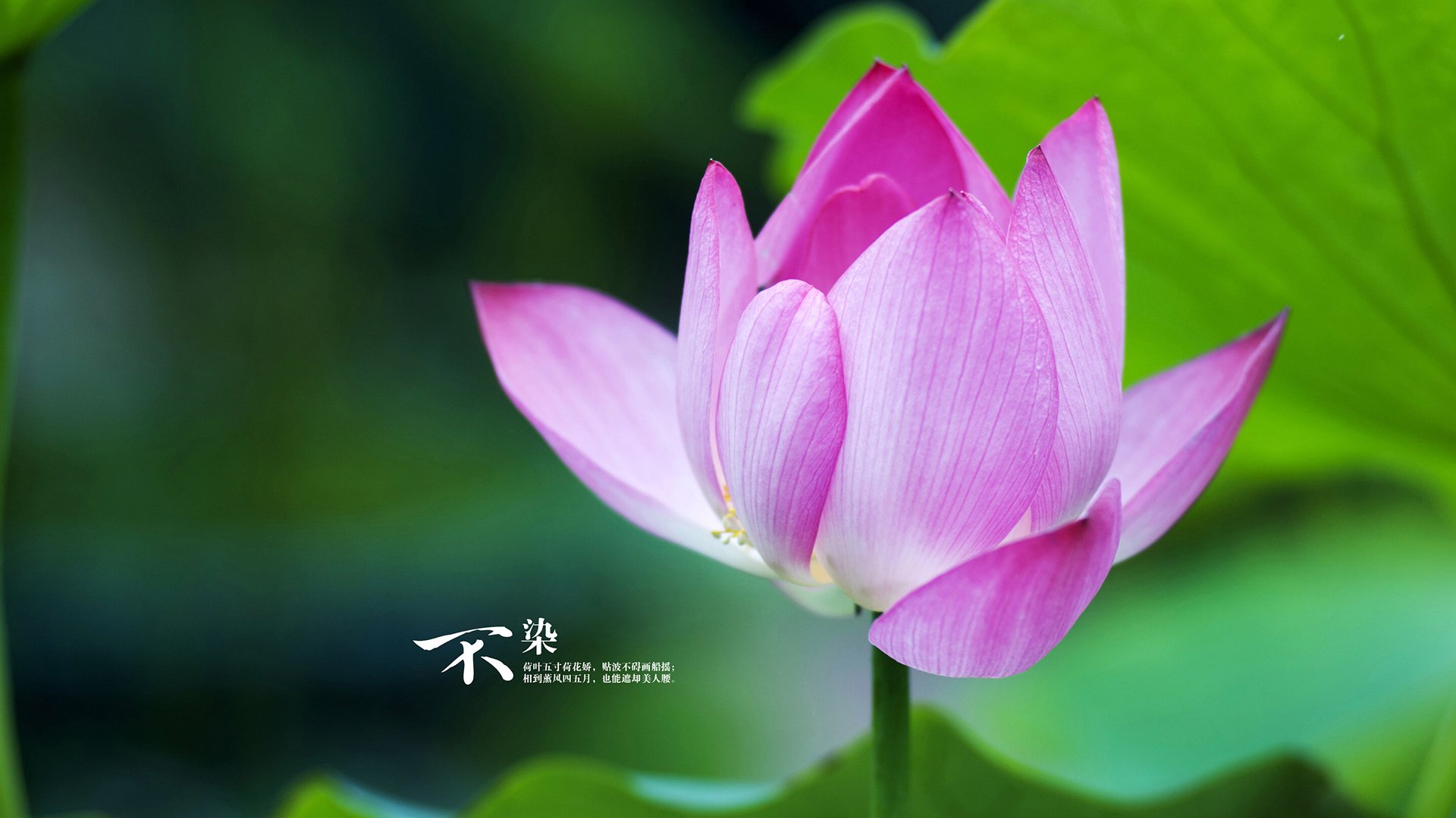 AYX体育-节奏混乱下如何利用暂停重新整理思路，节奏停连