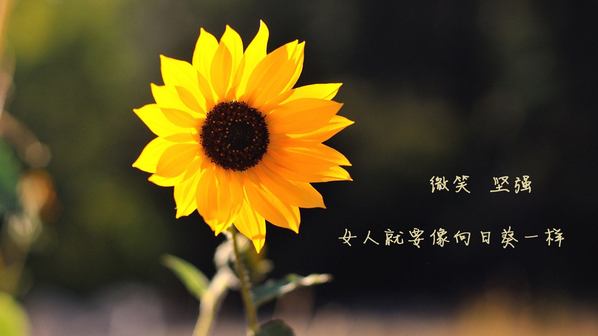 AYX体育官网-出发反应时间减少0.05秒，优势显现，反应开始时的反应速率怎么求