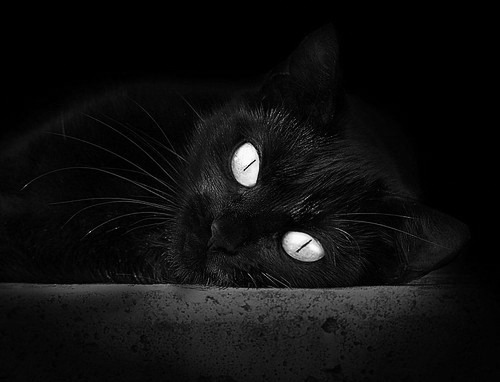 爱游戏体育app-女子乒乓球技术交流活动持续开展，女子乒乓球团队规则