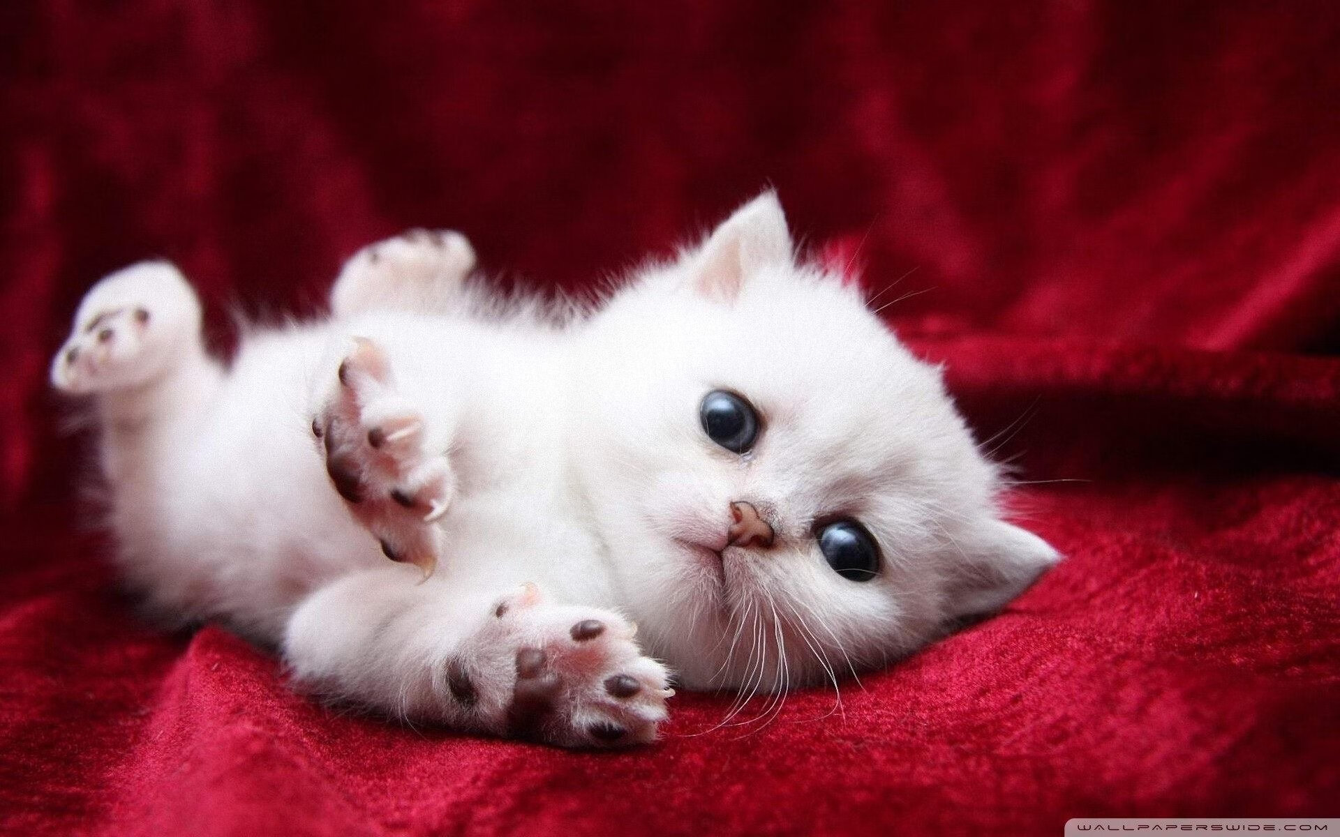 青少年足球培训引入虚拟教练系统，提升个性化指导水平，虚拟足球技巧